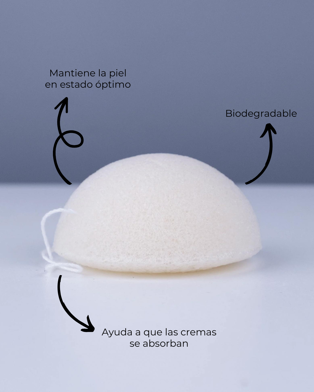 banbu-konjac-schwamm-gesicht-purificante-natural image 2