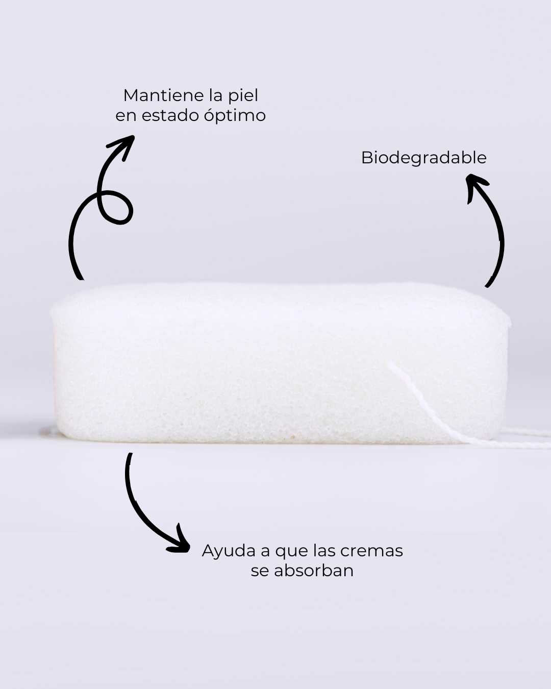 banbu-konjac-schwamm-k-rper-purifizierend-natural image 3