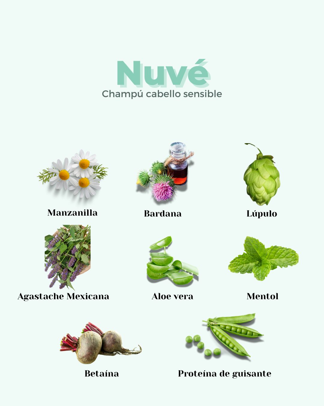 banbu-nuv-shampoo-nachf-llung-anti-schuppen-sensibel image 2
