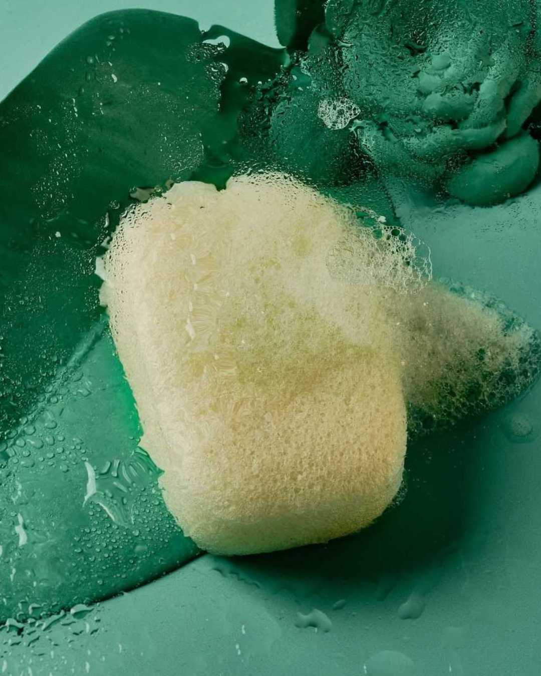 banbu-konjac-schwamm-k-rper-purifizierend-natural image 4