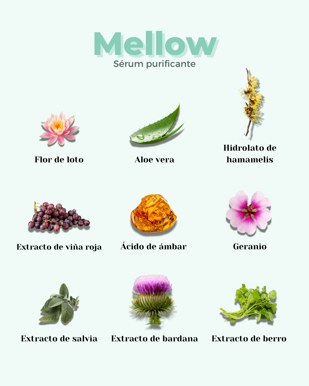 banbu-mellow-purifying-gesichtsserum-eco-f-r-fettige-und-mischhaut image 4