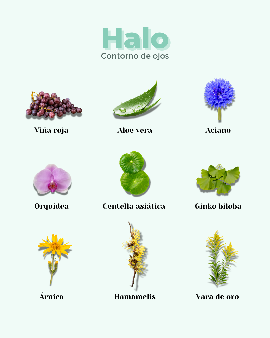 banbu-halo-festes-augenkontur-eco image 6