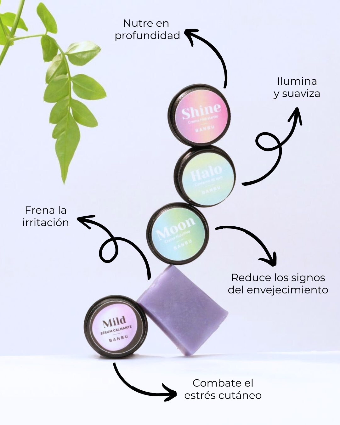banbu-basic-essential-facial-eco-mini-set-f-r-sensible-haut image 2