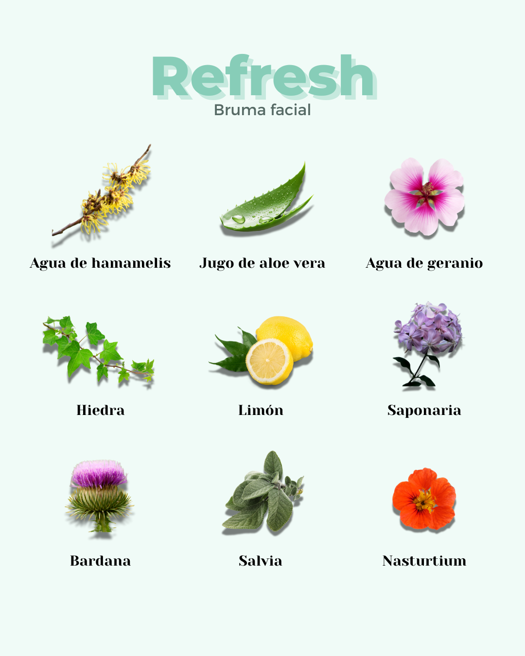 banbu-gesichtstoner-refresh-f-r-fettige-und-mischhaut image 5