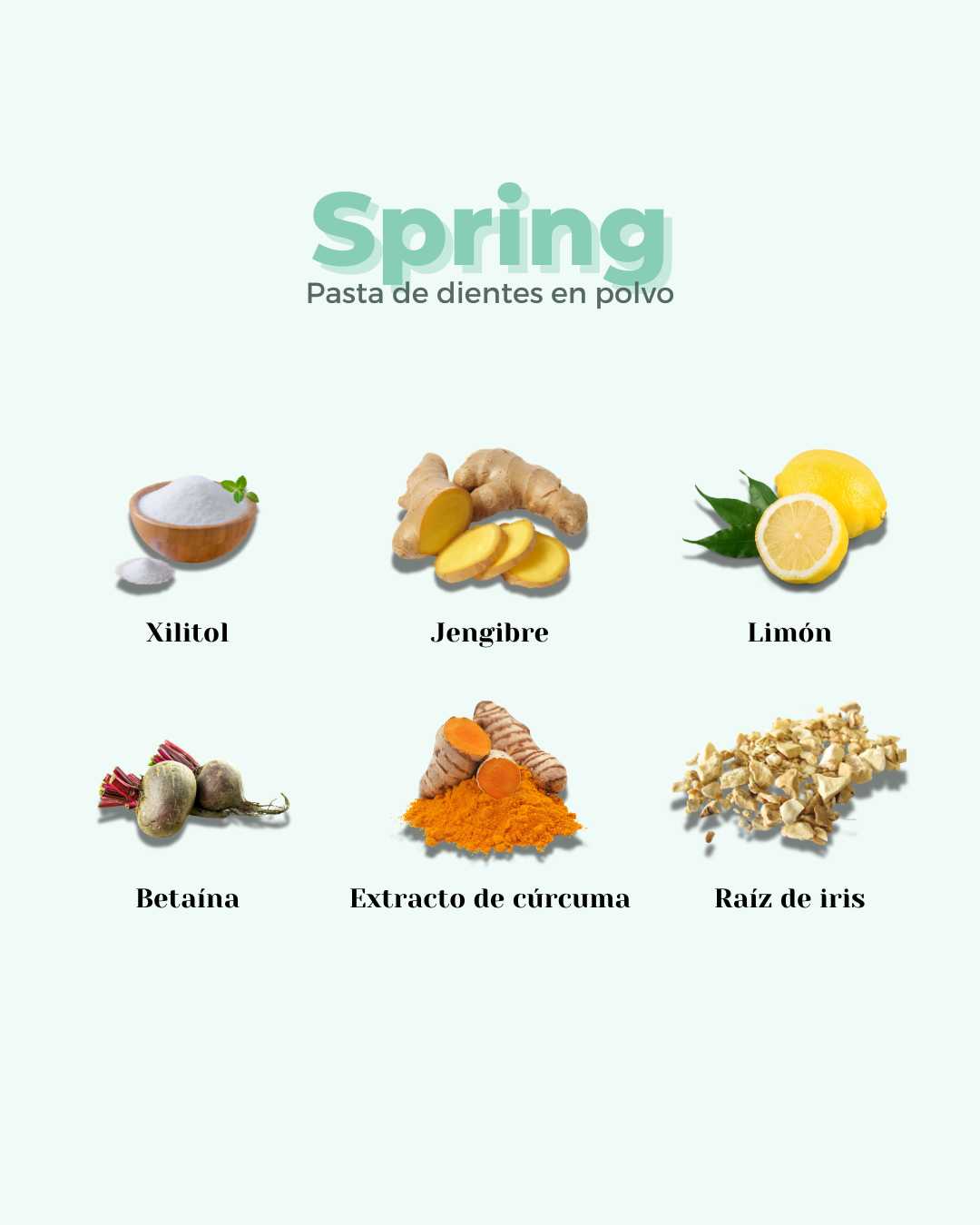 banbu-spring-eco-zahnpasta-pulver-refill-zitrone-ingwer image 4