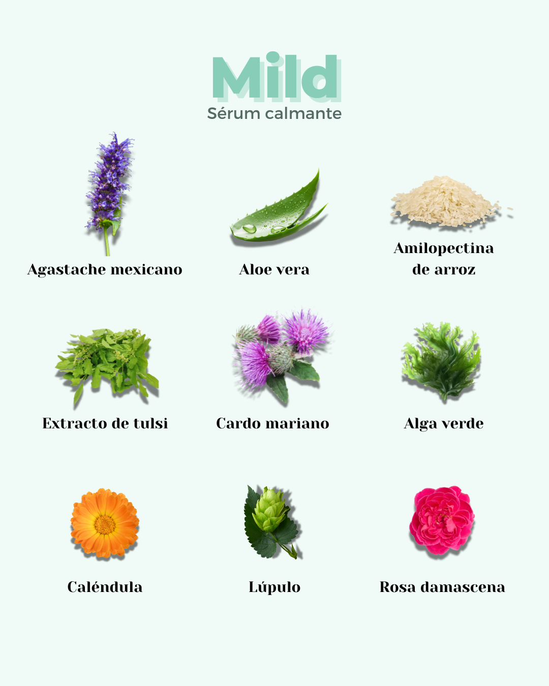 banbu-mild-beruhigendes-gesichtsserum-r-tungen-sensible-haut image 4