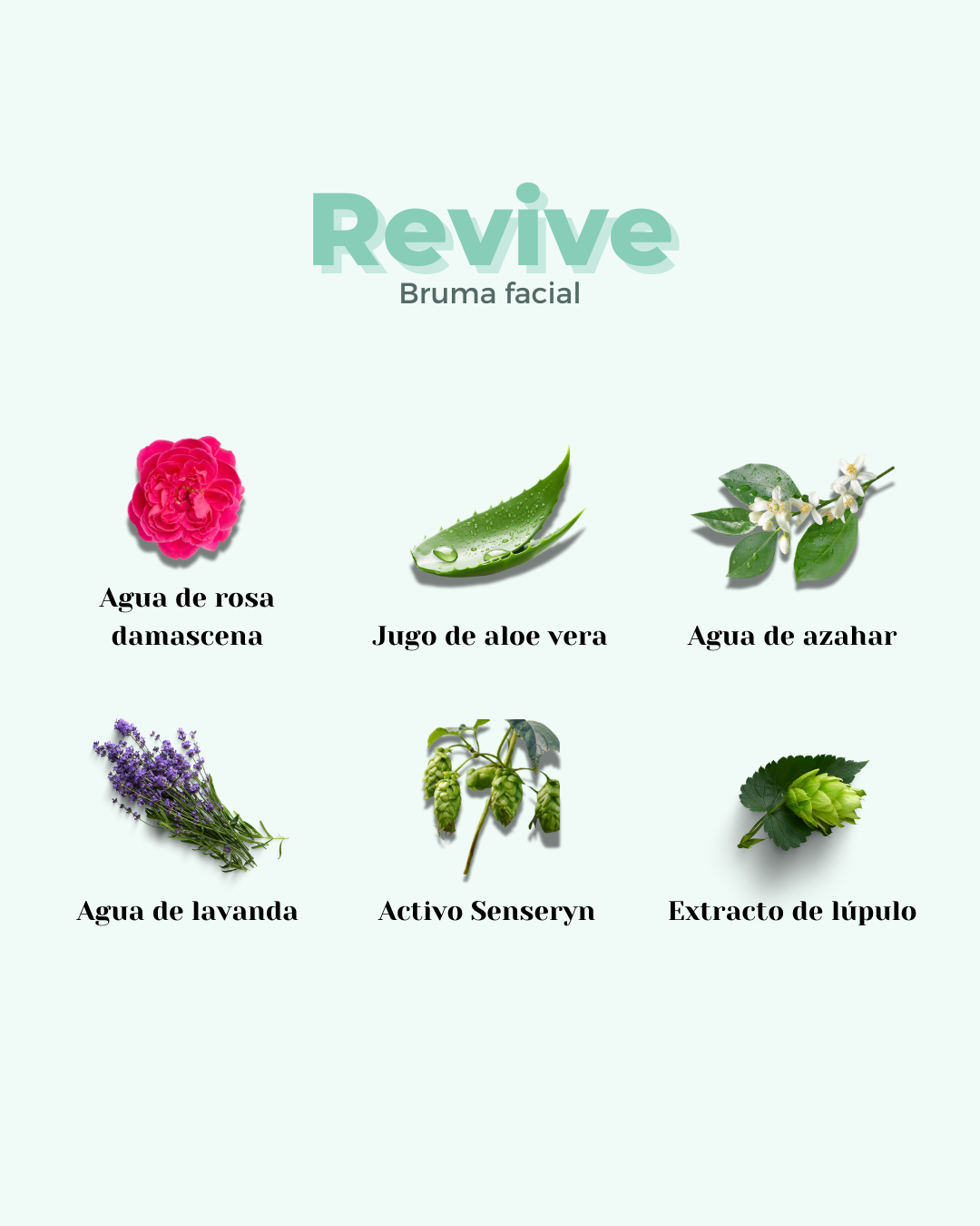 banbu-revive-gesichtstoner-trockene-sensible-haut image 5