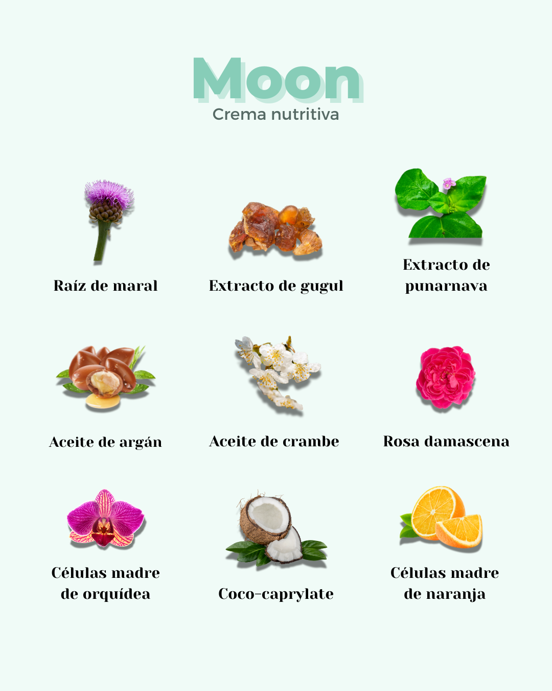 banbu-moon-nutritive-gesichtscreme-eco-well-aging-50-ml image 4