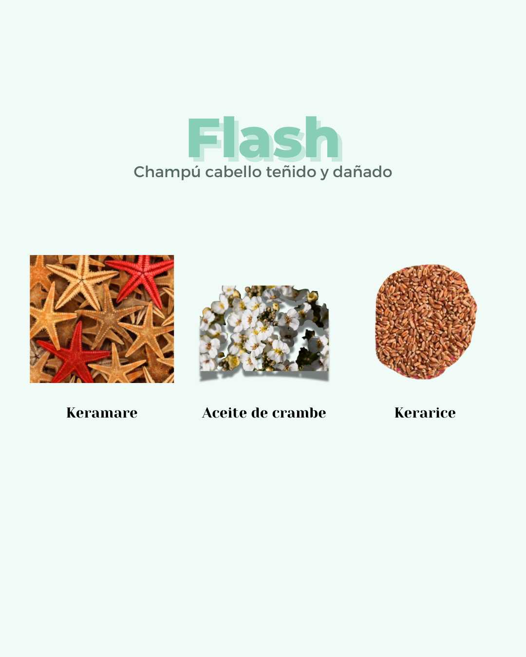 banbu-flash-festes-shampoo-eco-f-r-gesch-digtes-haar image 4