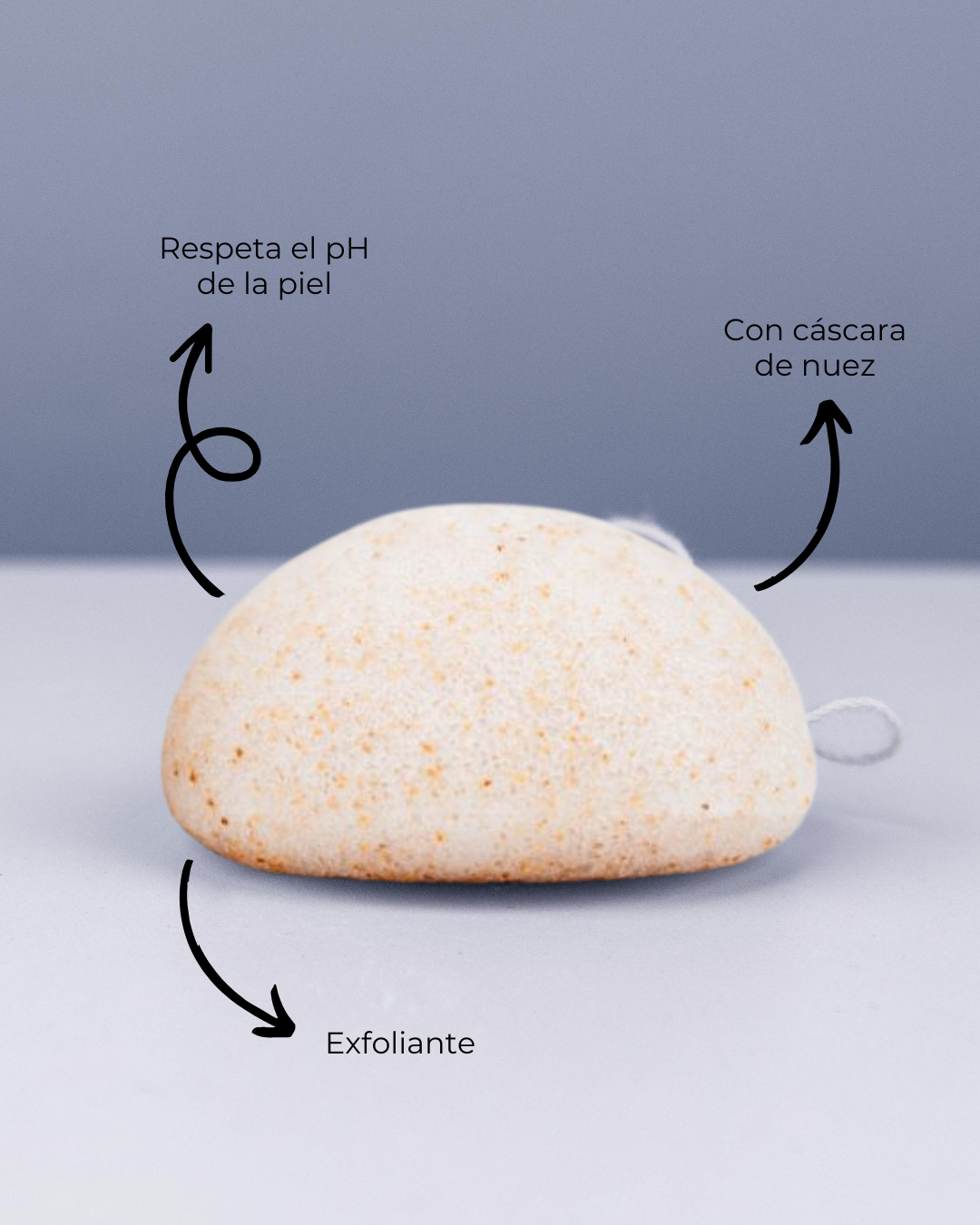 banbu-konjac-schwamm-gesicht-exfolierend-walnuss image 2