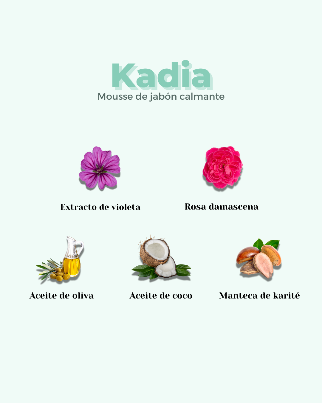 banbu-eco-kadia-gesichtsmousse-sensible-haut image 4